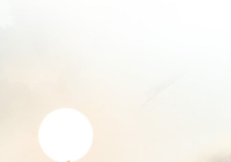 Childhood Friend of the Zenith สหายวัยเยาว์ของข้าแข็งแกร่งที่สุดในใต้หล้า ตอนที่ 85 page 15