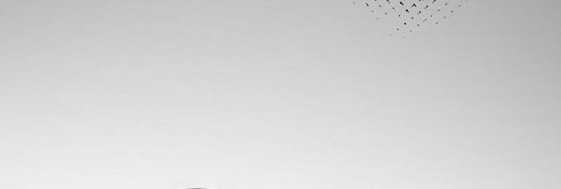 Fated to Be Loved by Villains โชคชะตากำหนดให้สาวๆตัวร้ายมารักฉัน ตอนที่ 5 page 49