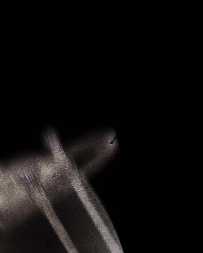 I Reincarnated As The Crazed Heir เกิดอีกทีเป็นว่าที่ประมุขลัทธิมาร ตอนที่ 120 page 28