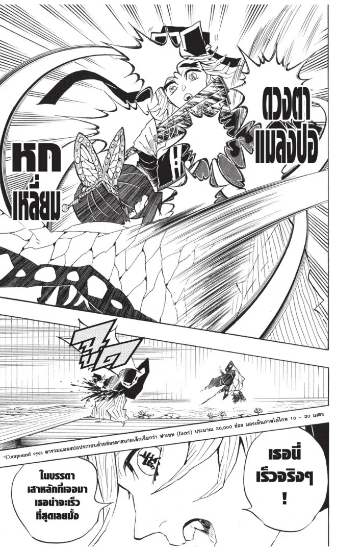 Kimetsu no yaiba ดาบพิฆาตอสูร ตอนที่ 134 page 174