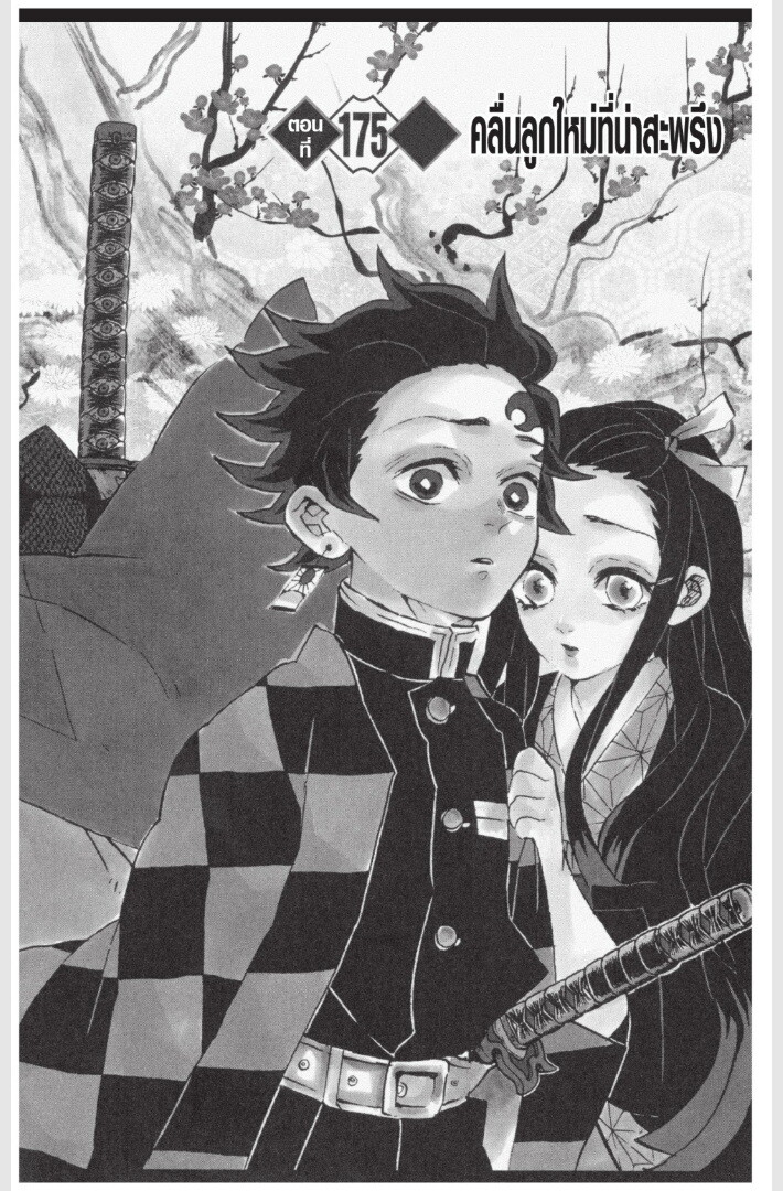 Kimetsu no yaiba ดาบพิฆาตอสูร ตอนที่ 170 page 105