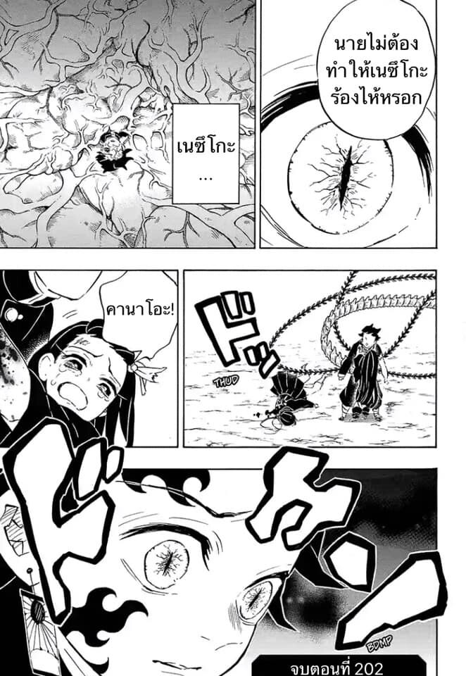 Kimetsu no yaiba ดาบพิฆาตอสูร ตอนที่ 197 page 114