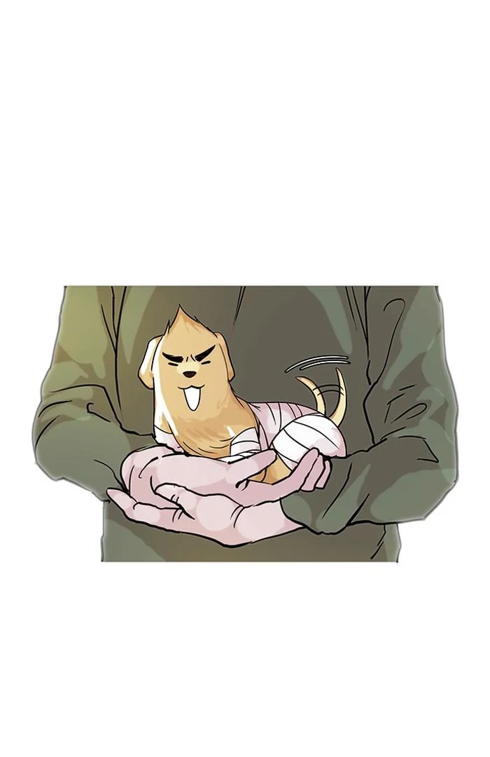 Lookism ตอนที่ 70 page 29