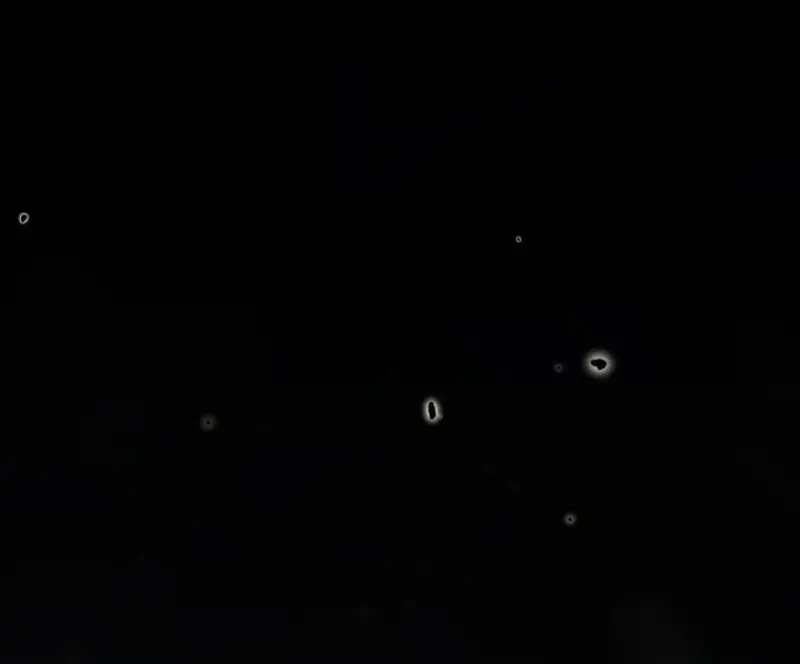 Magic Academy’s Genius Blinker ฉันกลายเป็นอัจฉริยะการบลิ๊งค์ในสถาบันเวทมนตร์ ตอนที่ 82 page 99