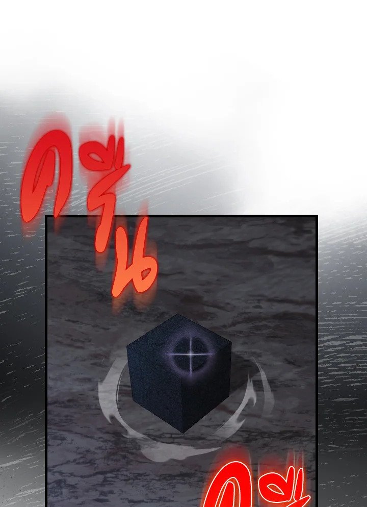 Max Level Player ตอนที่ 83 page 70