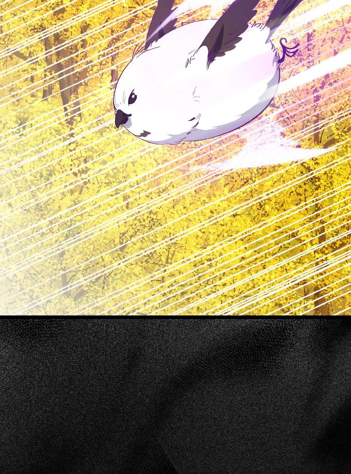 Max Level Player ตอนที่ 100 page 69