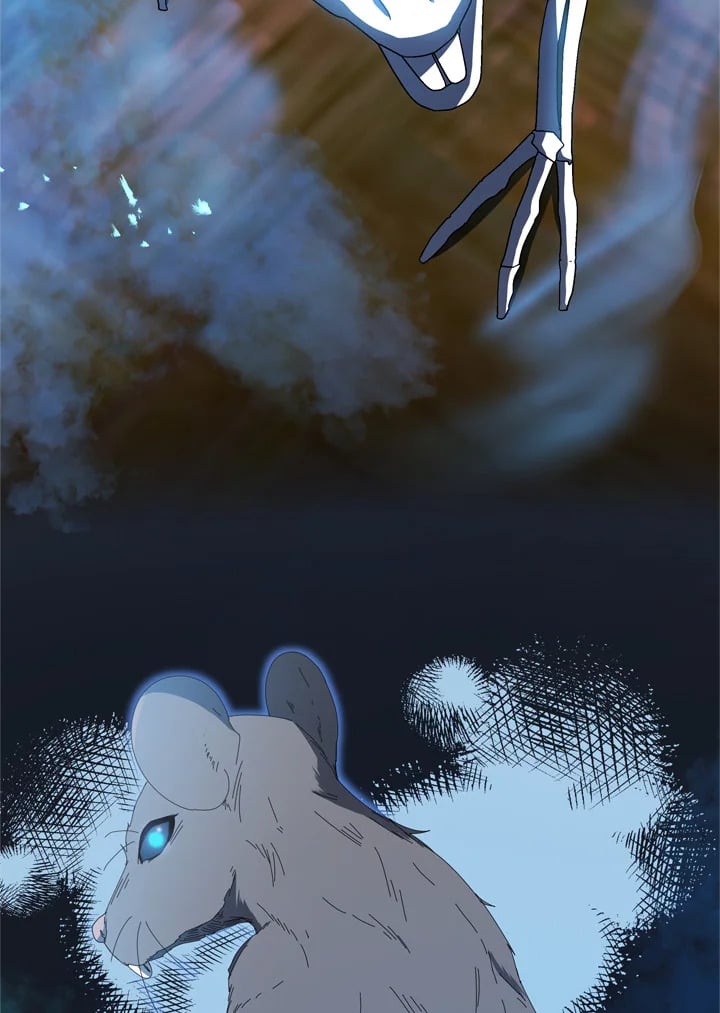 Necromancer Academy’s Genius Summoner ตอนที่ 12 page 67