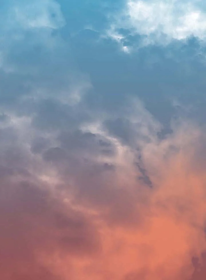 Necromancer Academy’s Genius Summoner ตอนที่ 62 page 93