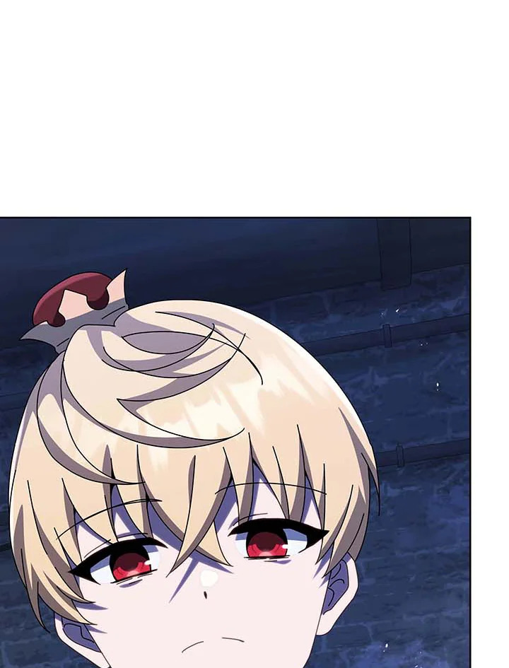 Necromancer Academy’s Genius Summoner ตอนที่ 117 page 17