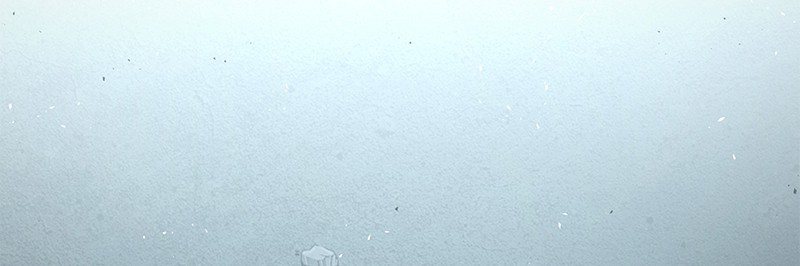 Omniscient Reader อ่านชะตาวันสิ้นโลก ตอนที่ 75 page 129