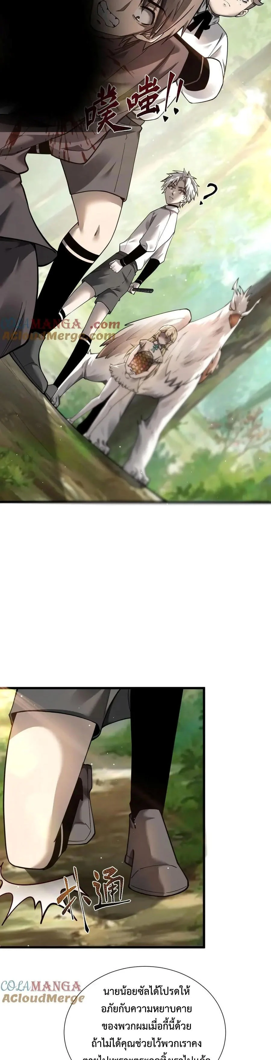 Shadow’s Resurgence การกลับมาของเงาที่แข็งแกร่งที่สุด ตอนที่ 15 page 13