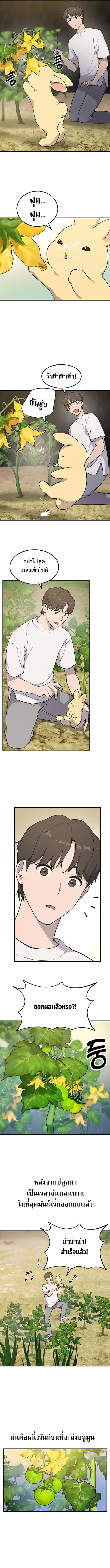 Solo Farming In The Tower ตอนที่ 4 page 7