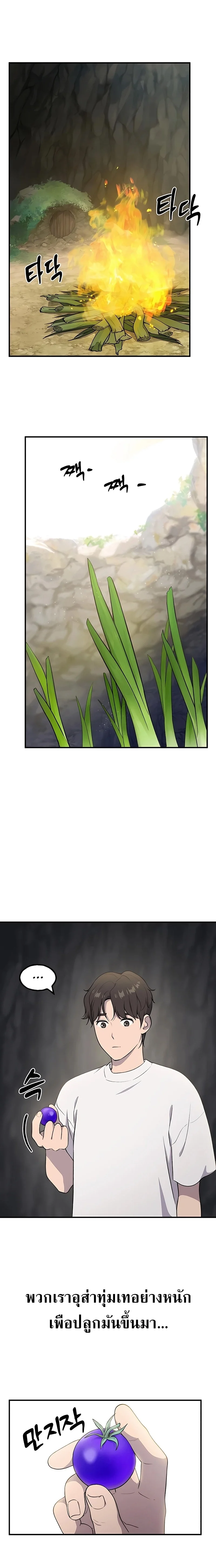 Solo Farming In The Tower ตอนที่ 5 page 22