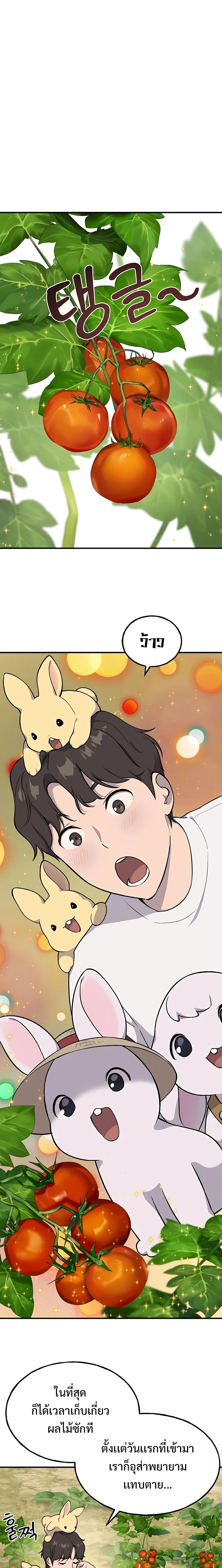 Solo Farming In The Tower ตอนที่ 6 page 11