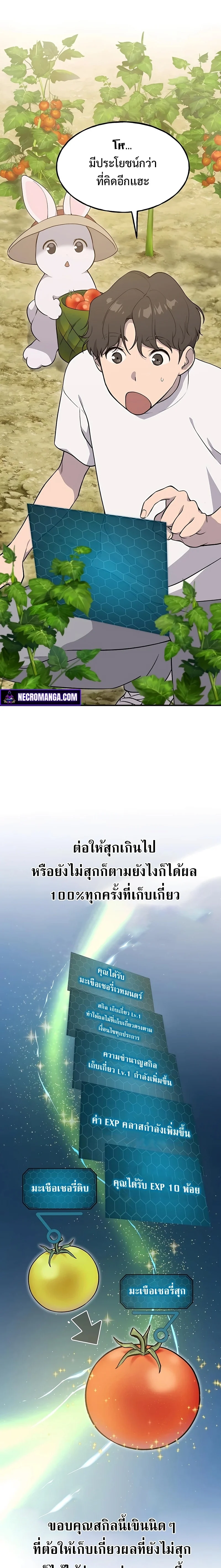 Solo Farming In The Tower ตอนที่ 6 page 29