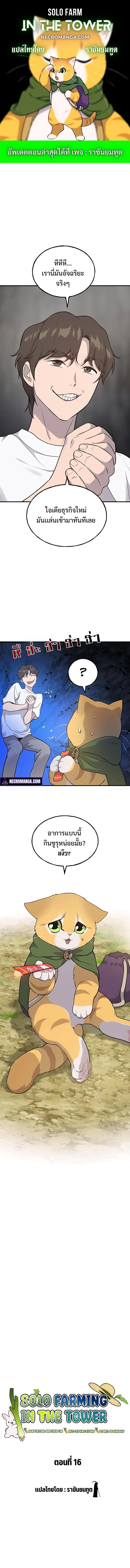 Solo Farming In The Tower ตอนที่ 16 page 0