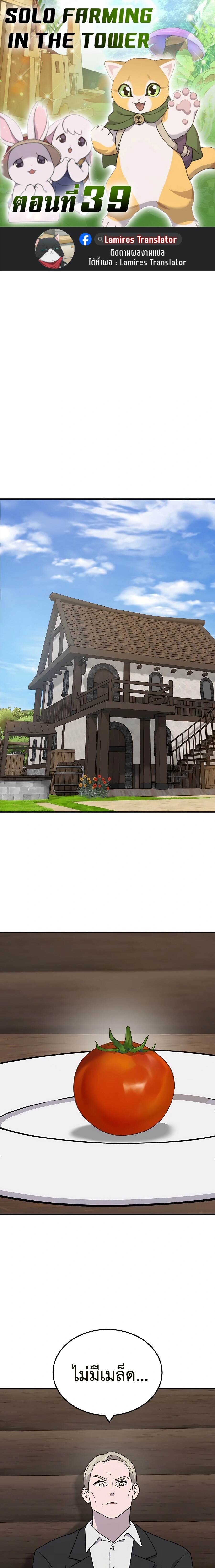 Solo Farming In The Tower ตอนที่ 39 page 0