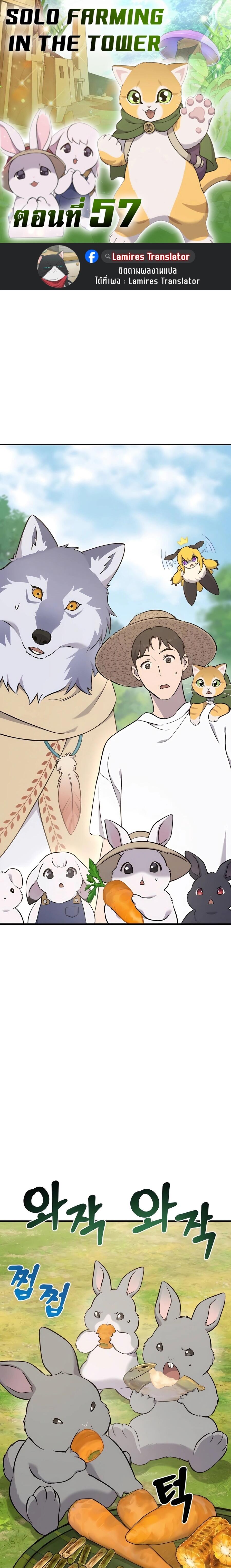 Solo Farming In The Tower ตอนที่ 57 page 0