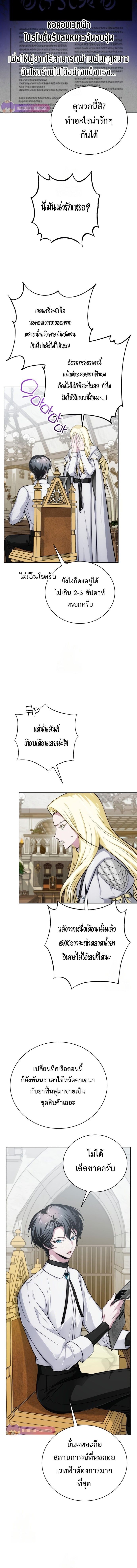 The Magic Tower’s Problem Child ตัวอันตรายแห่งหอคอยเวท ตอนที่ 16 page 6